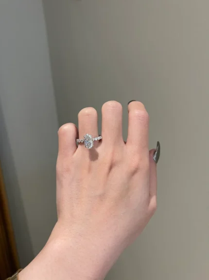 Brilliant Oval Cut Moissanite Hidden Halo Share Prong Pave Engagement Ring