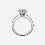 Pre-Owned The Tiffany® Setting Engagement Ring with a Channel-Set Diamond Band in Platinum - Image 2